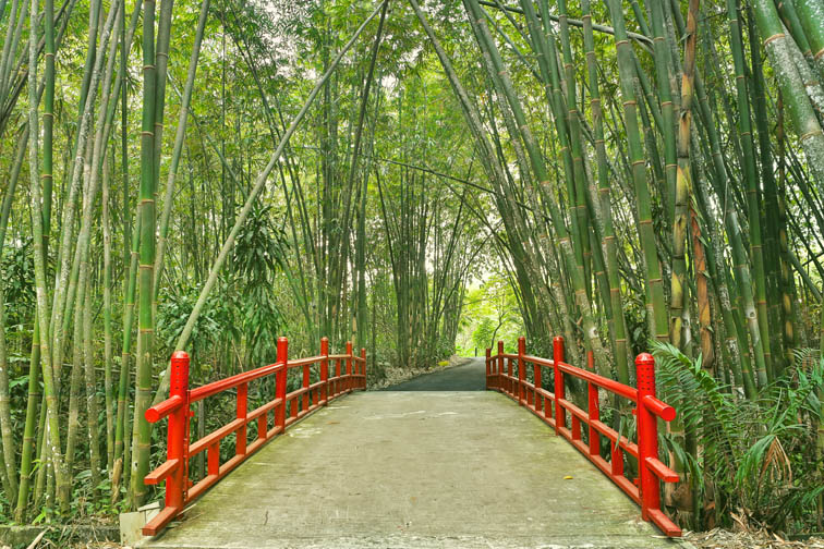 Bamboo Terrace